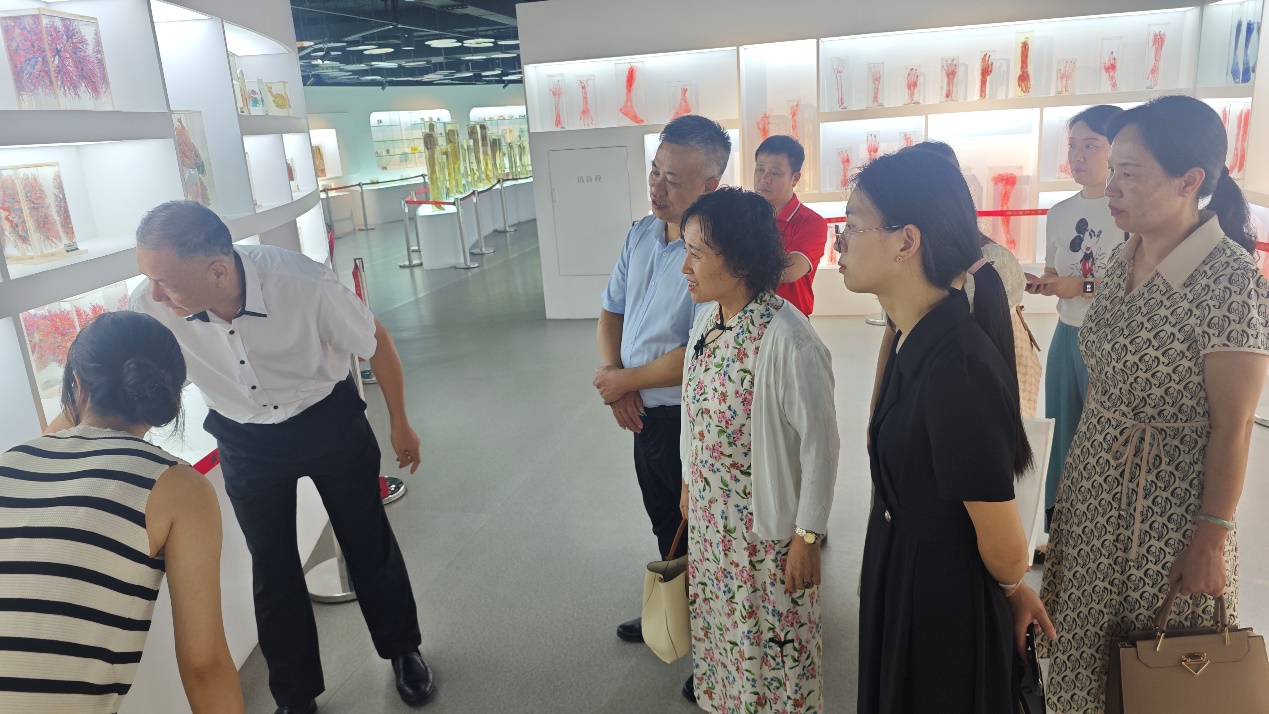 图片 3 图片 3