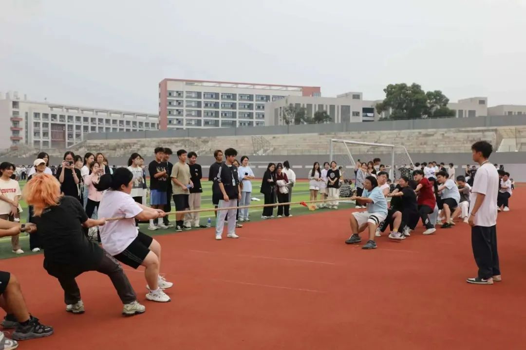 IMG_260 IMG_260